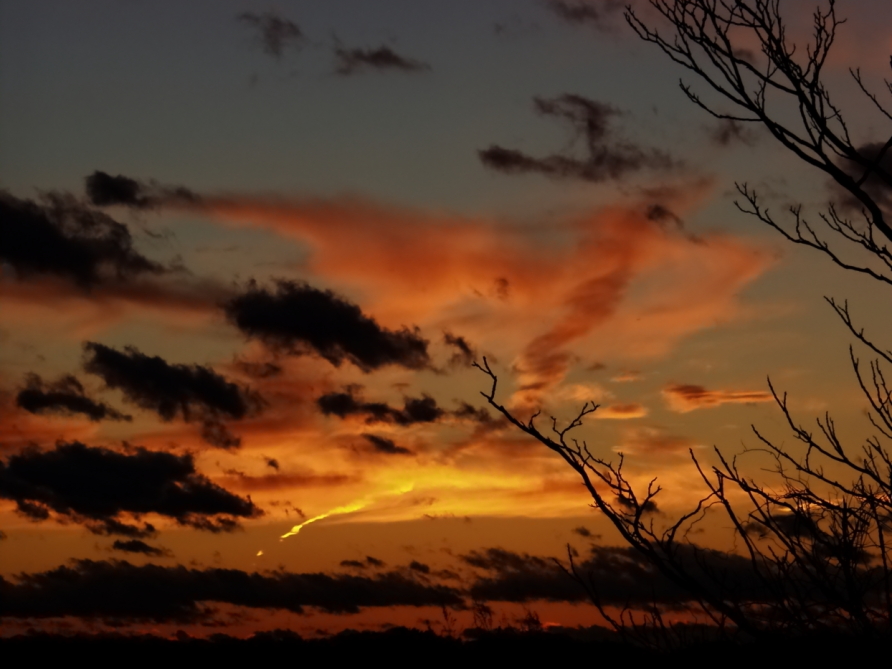 Asending Angel